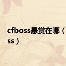 cfboss悬赏在哪(cfboss)