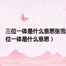 三位一体是什么意思张雪峰(三位一体是什么意思)