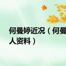 何曼婷近况（何曼婷个人资料）