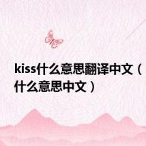 kiss什么意思翻译中文(kiss是什么意思中文)