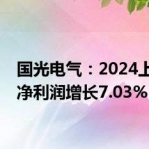 国光电气:2024上半年净利润增长7.03%