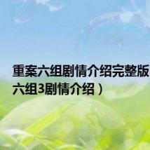 重案六组剧情介绍完整版(重案六组3剧情介绍)