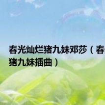 春光灿烂猪九妹邓莎(春光灿烂猪九妹插曲)