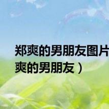 郑爽的男朋友图片（郑爽的男朋友）