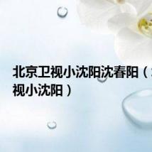 北京卫视小沈阳沈春阳（北京卫视小沈阳）