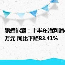 鹏辉能源:上半年净利润4167.9万元 同比下降83.41%