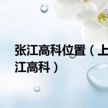 张江高科位置（上海张江高科）