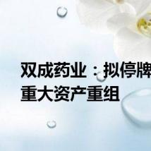 双成药业：拟停牌筹划重大资产重组