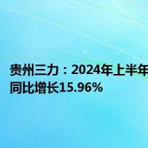 贵州三力:2024年上半年净利润同比增长15.96%