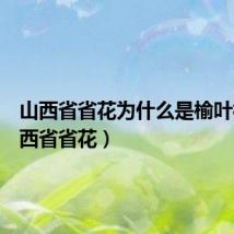 山西省省花为什么是榆叶梅(山西省省花)
