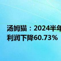 汤姆猫:2024半年度净利润下降60.73%