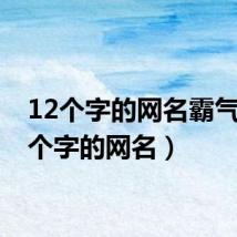12个字的网名霸气(12个字的网名)