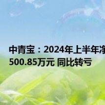 中青宝:2024年上半年净亏损2500.85万元 同比转亏