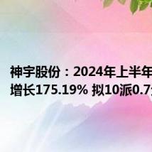 神宇股份:2024年上半年净利润增长175.19% 拟10派0.7元