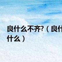 良什么不齐?（良什么不什么）