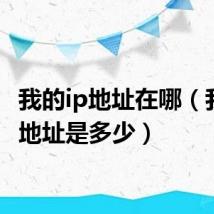 我的ip地址在哪(我的ip地址是多少)
