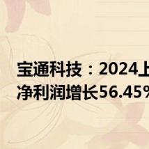 宝通科技:2024上半年净利润增长56.45%