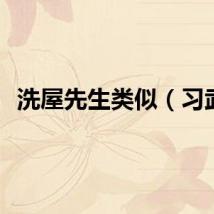 洗屋先生类似（习武）