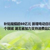 补贴规模超66亿元 新增电动自行车等6个领域 湖北省加力支持消费品以旧换新