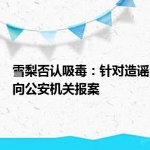 雪梨否认吸毒：针对造谣内容已向公安机关报案
