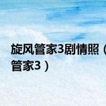 旋风管家3剧情照(旋风管家3)