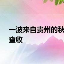 一波来自贵州的秋景请查收