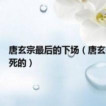 唐玄宗最后的下场(唐玄宗怎么死的)