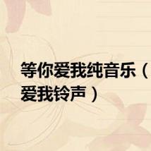 等你爱我纯音乐（等你爱我铃声）