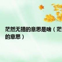 茫然无措的意思是啥(茫然无措的意思)