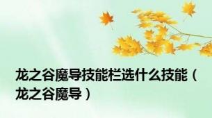 龙之谷魔导技能栏选什么技能（龙之谷魔导）