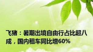 飞猪：暑期出境自由行占比超八成，国内租车同比增60%
