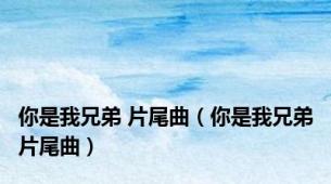 你是我兄弟 片尾曲（你是我兄弟片尾曲）