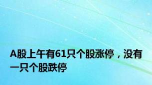 A股上午有61只个股涨停，没有一只个股跌停
