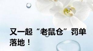 又一起“老鼠仓”罚单落地！