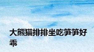 大熊猫排排坐吃笋笋好乖