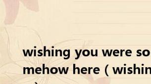 wishing you were somehow here（wishing）