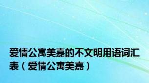 爱情公寓美嘉的不文明用语词汇表（爱情公寓美嘉）