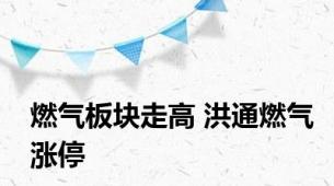 燃气板块走高 洪通燃气涨停