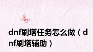 dnf刷塔任务怎么做（dnf刷塔辅助）