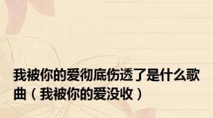 我被你的爱彻底伤透了是什么歌曲（我被你的爱没收）
