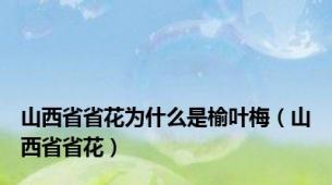 山西省省花为什么是榆叶梅（山西省省花）