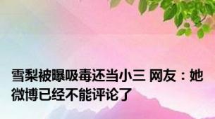 雪梨被曝吸毒还当小三 网友：她微博已经不能评论了