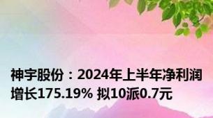 神宇股份：2024年上半年净利润增长175.19% 拟10派0.7元