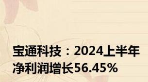 宝通科技：2024上半年净利润增长56.45%