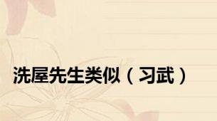 洗屋先生类似（习武）