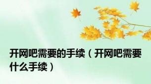 开网吧需要的手续（开网吧需要什么手续）