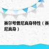 赛尔号普尼真身特性（赛尔号普尼真身）