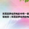 茱莉亚罗伯茨电影中有一慕她躺在雪地里（茱莉亚罗伯茨的电影）