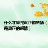 什么才算是真正的感情（什么才是真正的感情）