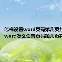 怎样设置word页码第几页共几页(word怎么设置页码第几页共几页)